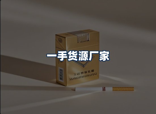 专业团队办公环境